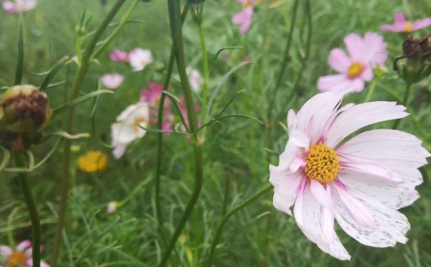 芜湖室内设计培训班