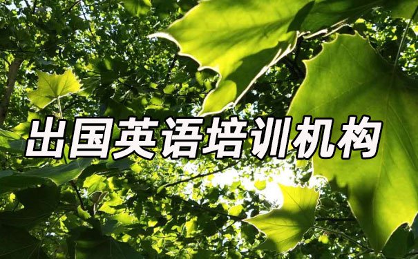 昆明出国英语培训机构哪个好_学费多少钱