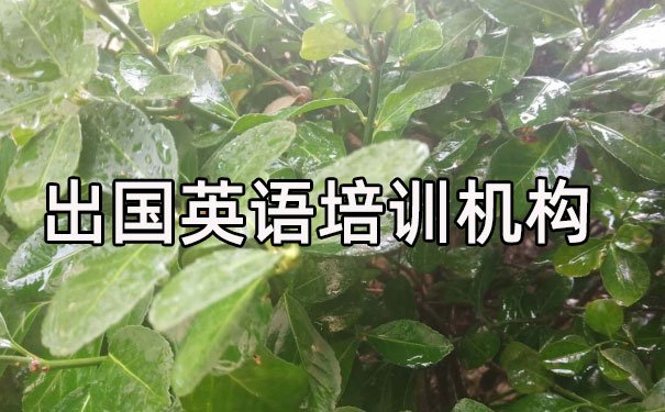 江门出国英语培训机构哪个好_学费多少钱