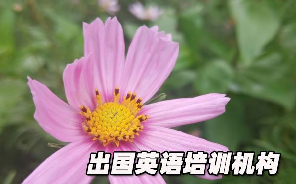 成都成华区出国英语培训机构哪个好_学费多少钱