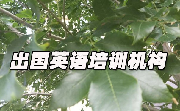 成都锦江区出国英语培训机构哪个好_学费多少钱