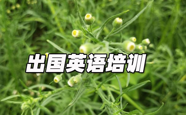 大连出国英语培训机构哪个好_学费多少钱