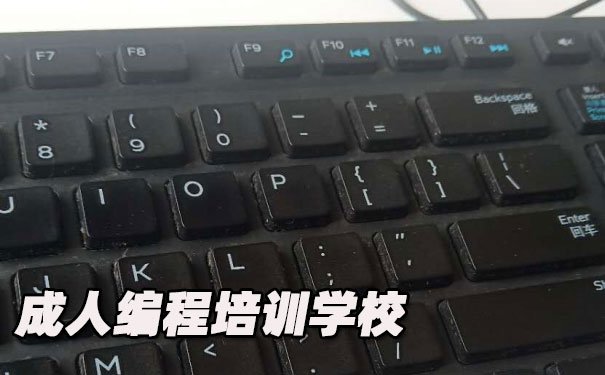 成都成人编程培训学校_地址，学什么内容-中公优就业IT